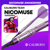 Caliburn Awakening Darts - Welche Spitze - 90% Tungsten - Nicomuse