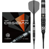 Caliburn Players Darts - Welche Spitze - 90% Tungsten - Obsidian: Barry Wong