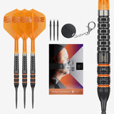 Target Raymond van Barneveld Darts - Stahlspitze - 95% Tungsten - 95K