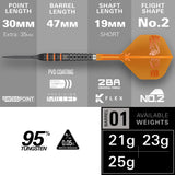 Target Raymond van Barneveld Darts - Stahlspitze - 95% Tungsten - 95K