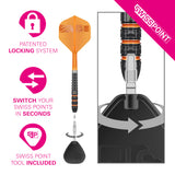 Target Raymond van Barneveld Darts - Stahlspitze - 95% Tungsten - 95K