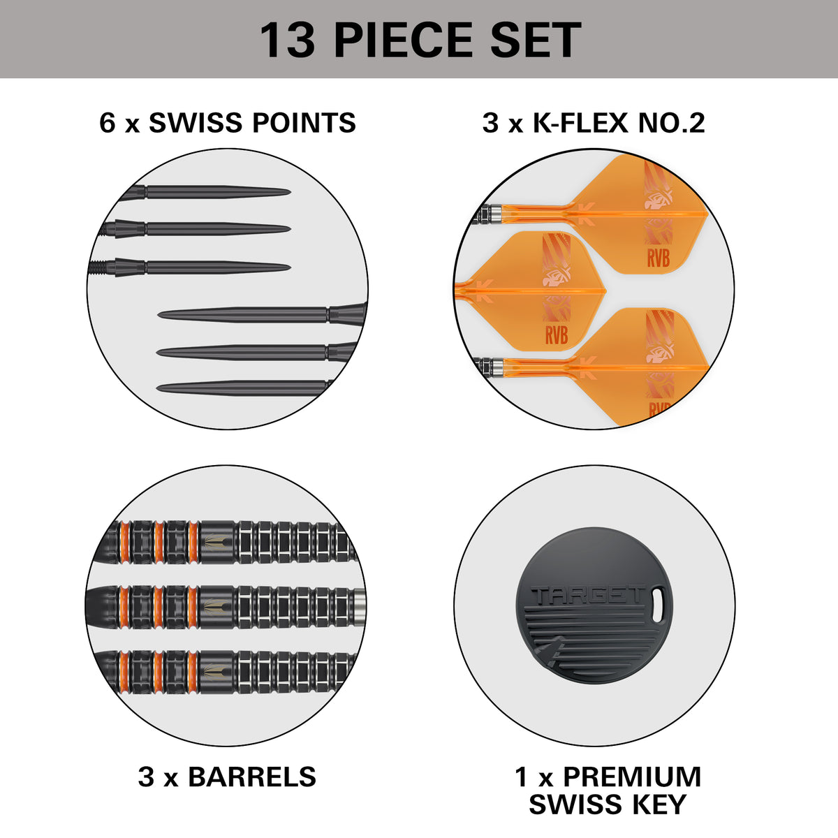 Target Raymond van Barneveld Darts - Stahlspitze - 95% Tungsten - 95K