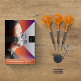 Target Raymond van Barneveld Darts - Stahlspitze - 95% Tungsten - 95K