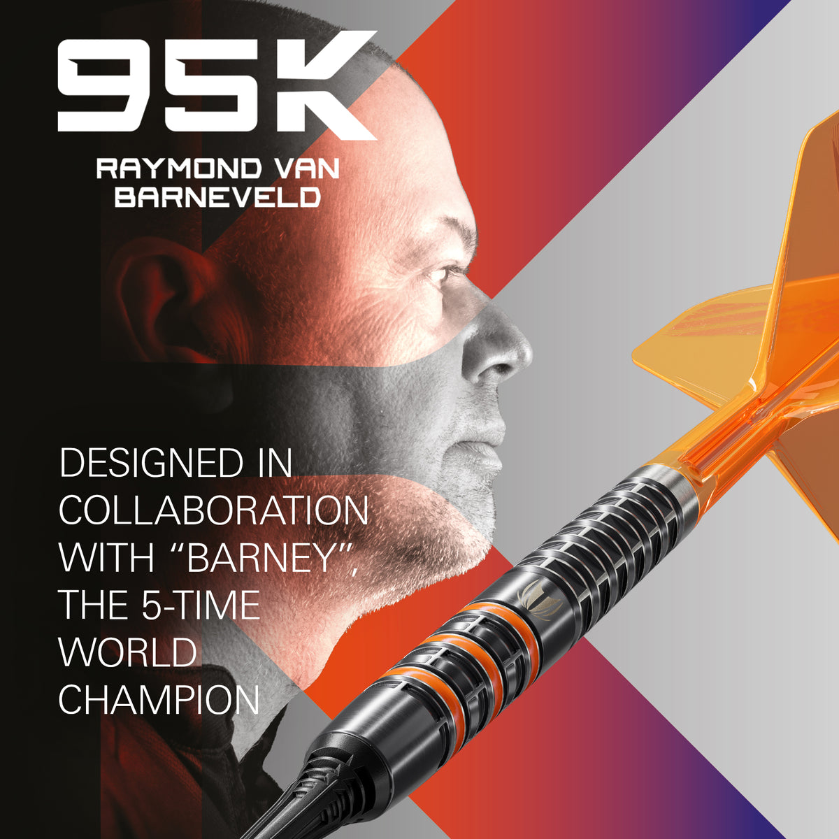 Target Raymond van Barneveld Darts - Welche Spitze - 95% Tungsten - 95K