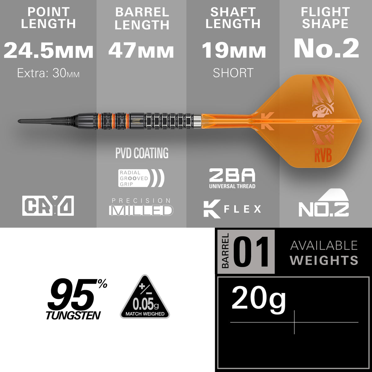 Target Raymond van Barneveld Darts - Welche Spitze - 95% Tungsten - 95K