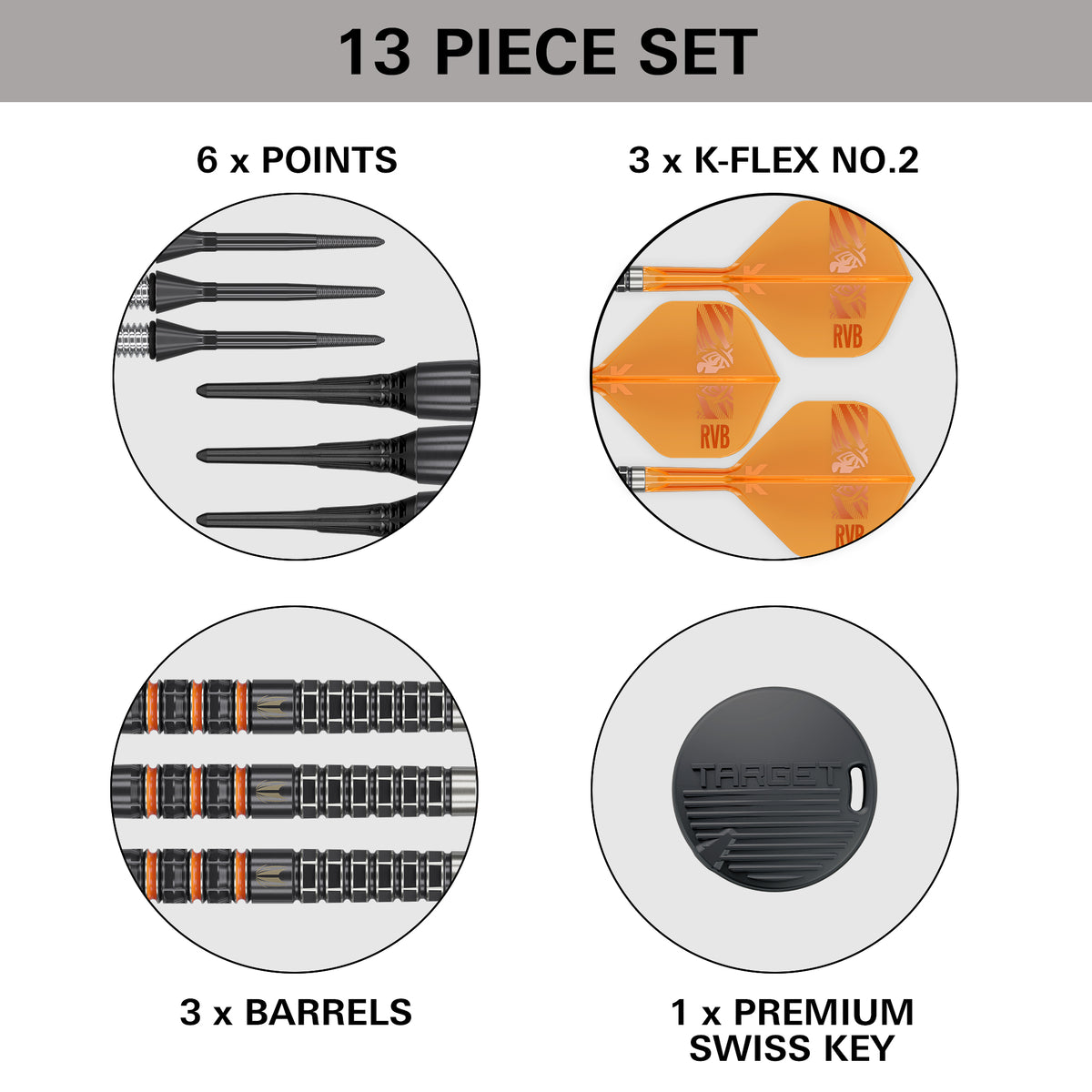 Target Raymond van Barneveld Darts - Welche Spitze - 95% Tungsten - 95K