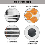 Target Raymond van Barneveld Darts - Welche Spitze - 95% Tungsten - 95K