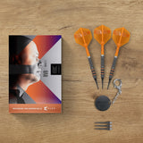 Target Raymond van Barneveld Darts - Welche Spitze - 95% Tungsten - 95K