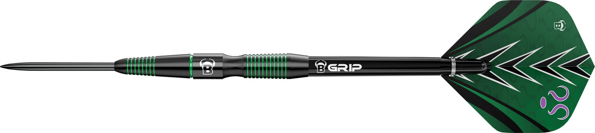 BULL'S Brian Raman Darts - Stahlspitze - 90% Tungsten - G2
