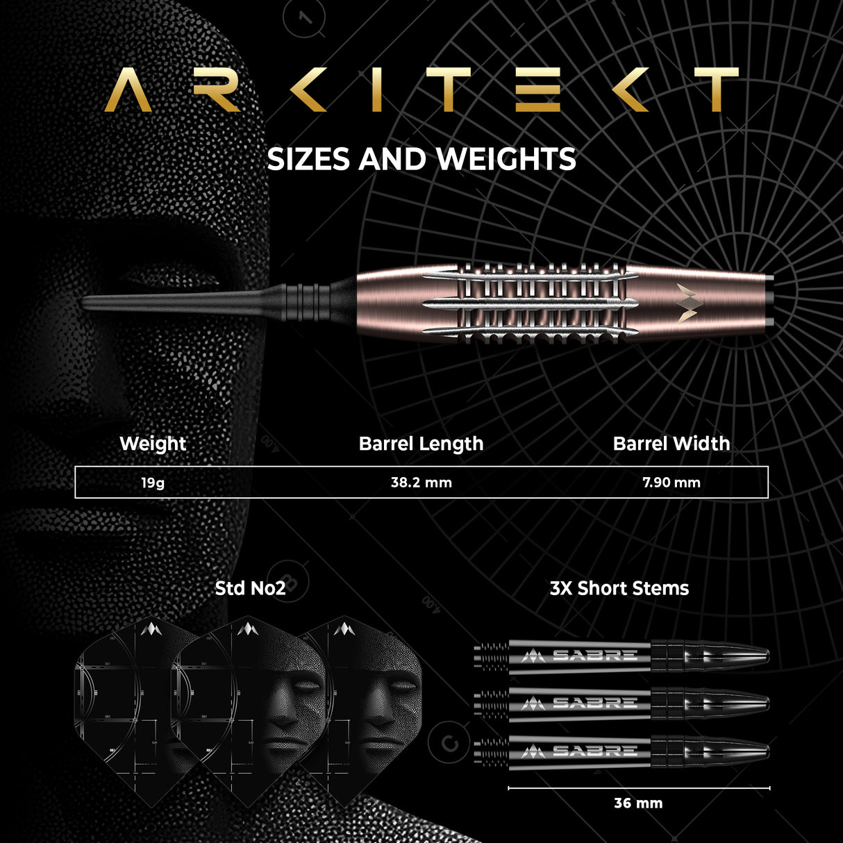 Mission Arkitekt Darts - Welche Spitze - 90% Tungsten - Bronze Silica PVD - 19g