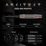 Mission Arkitekt Darts - Welche Spitze - 90% Tungsten - Bronze Silica PVD - 19g