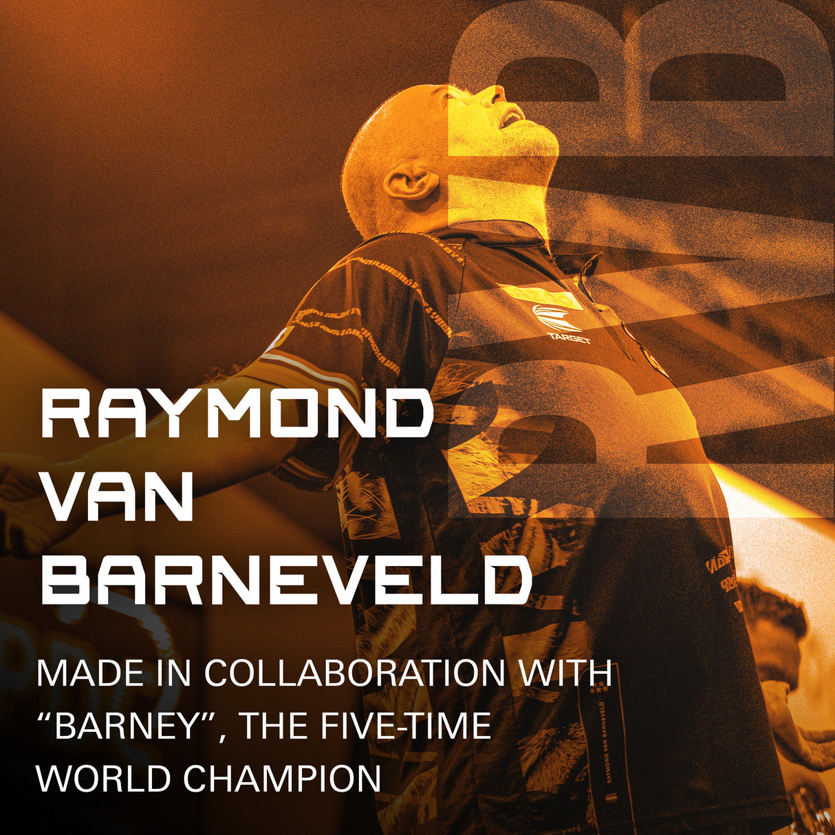 Target K-Flex Dart Flights - Standard No.2 - Raymond van Barneveld
