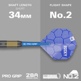 Target Josh Rock Darts - Welche Spitze - Messing