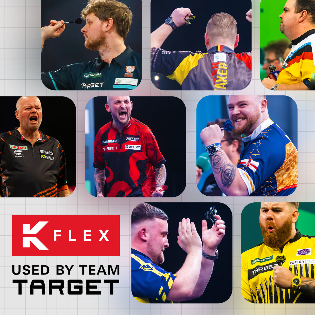 Target K-Flex Dart Flights - Standard No.2 - Phil Taylor