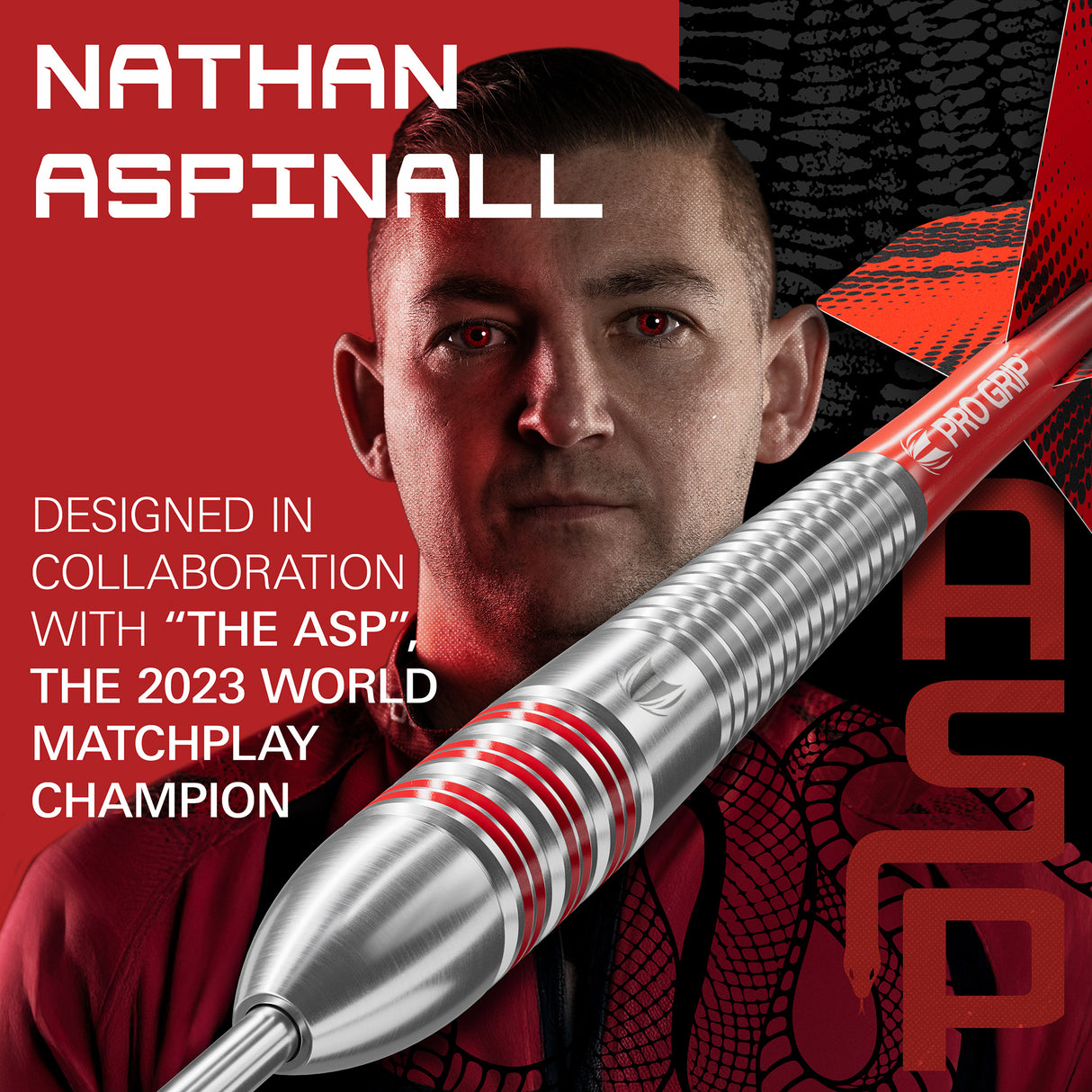 Target Nathan Aspinall Darts - Stahlspitze - Messing