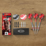 Target Nathan Aspinall Darts - Stahlspitze - Messing