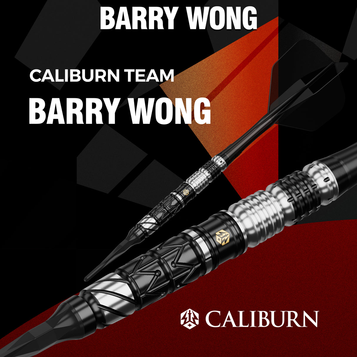 Caliburn Players Darts - Welche Spitze - 90% Tungsten - Obsidian: Barry Wong