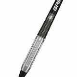 Goat Reload Darts - Welche Spitze - 80% Tungsten - 20g