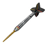 Precise 180 Ricardo Pietreczko Darts - Stahlspitze - 90% Tungsten
