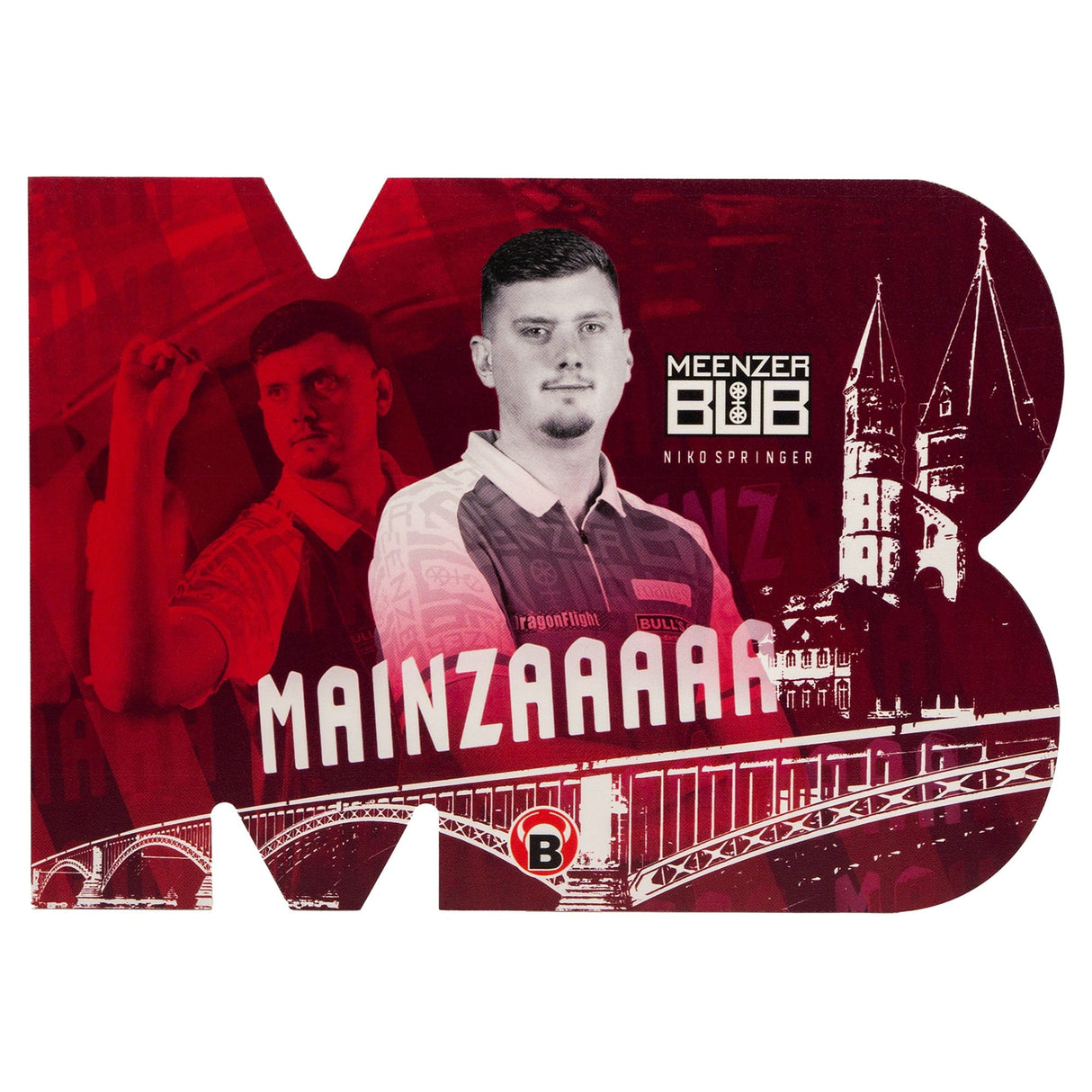 BULL'S Fan-Karte - Spieler - Niko Springer